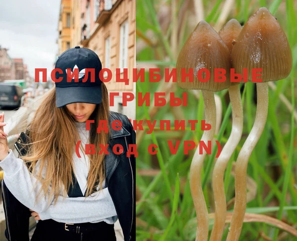 соль курить ск Вязьма