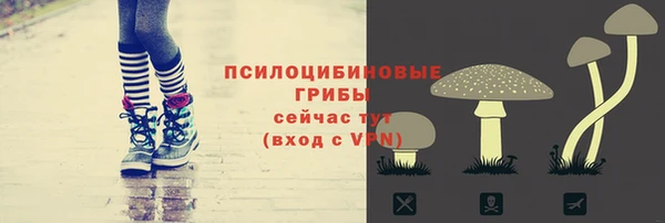 молекула духа Вязники