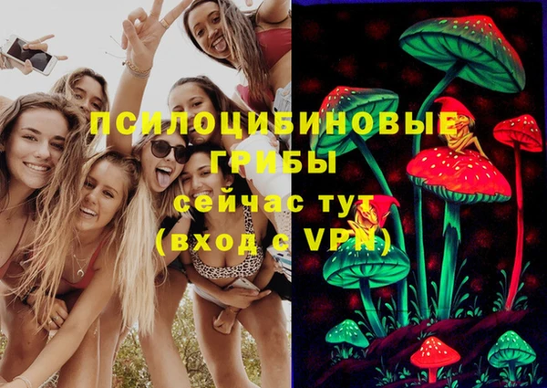 соль курить ск Вязьма