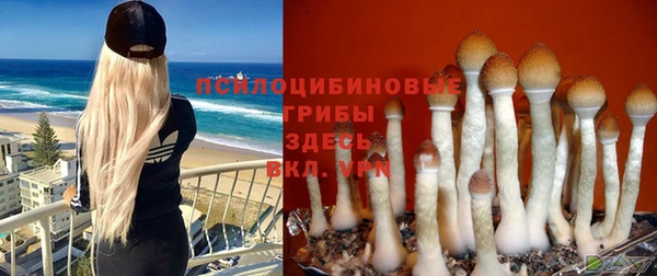 дживик Володарск