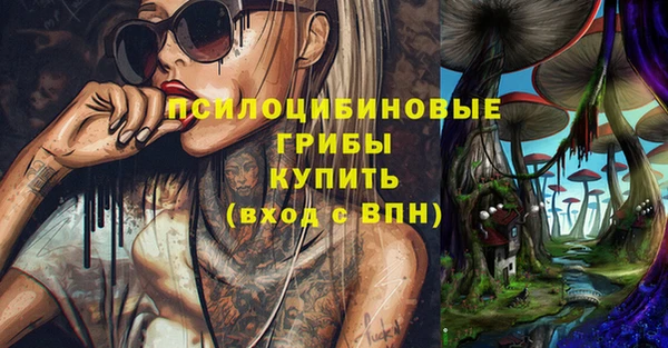 герыч Вяземский